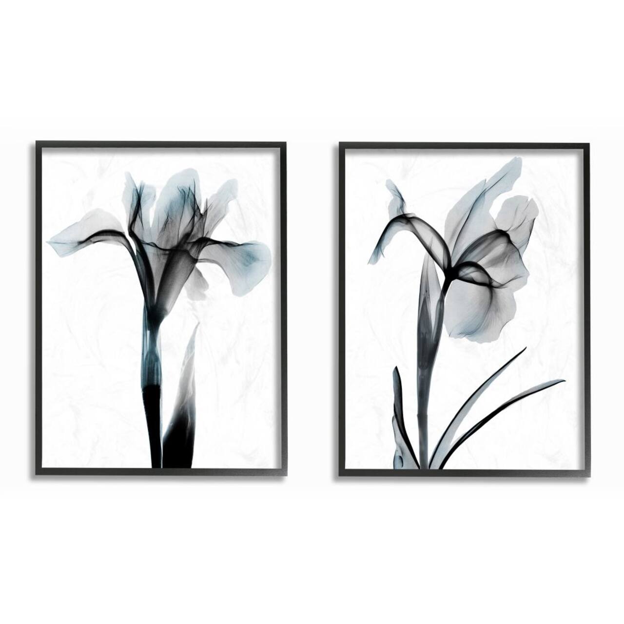 Stupell Industries Contrast Black And Blue Flower Bloom Designs in Black Frame Wall Art